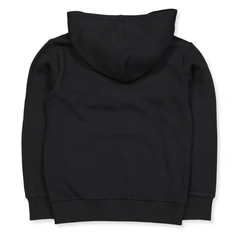 Champion Sweatshirt 