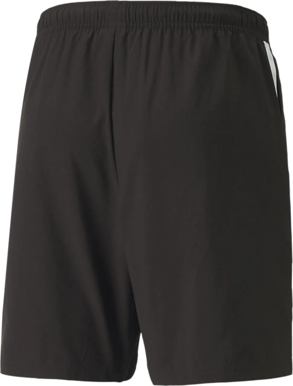 Puma Teamliga Sideline Shorts -